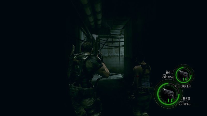 Resident Evil 5 Remaster 13