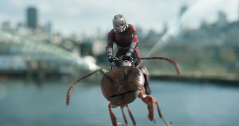 Paul Rudd: Ant-Man