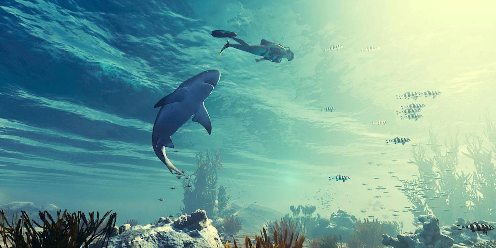 Análisis de 'Maneater' para PS4: Un tiburón muy voraz y donairoso