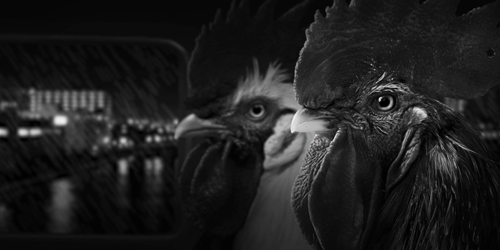 Análisis de 'Chicken Police' para Xbox One, el noir llevado al videojuego