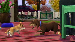Los Sims 3: Mascotas