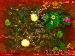 Anthill: Tactical Trail Defense
