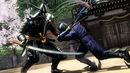 anterior: Ninja Gaiden 3