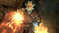 The Elder Scrolls V: Skyrim Dragonborn