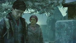 Harry Potter y las Reliquias de la Muerte