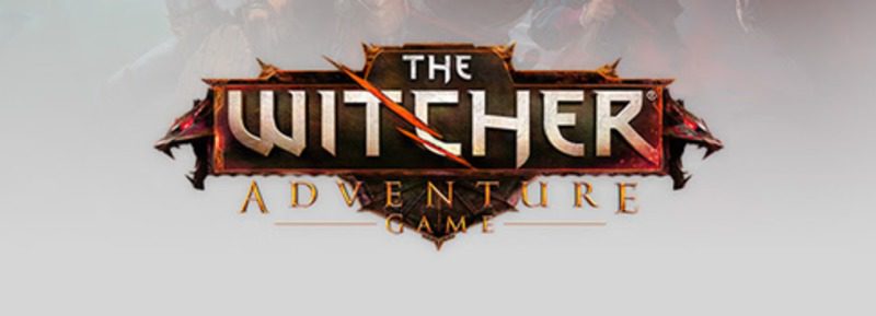 'The Witcher: Adventure Game'