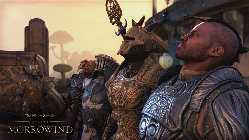 TESO: Morrowind - Warden