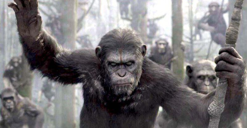 caesar, el lider de los simios en la guerra del planeta de los simios