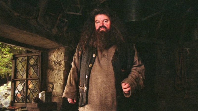 Redmayne quiere ver a Hagrid