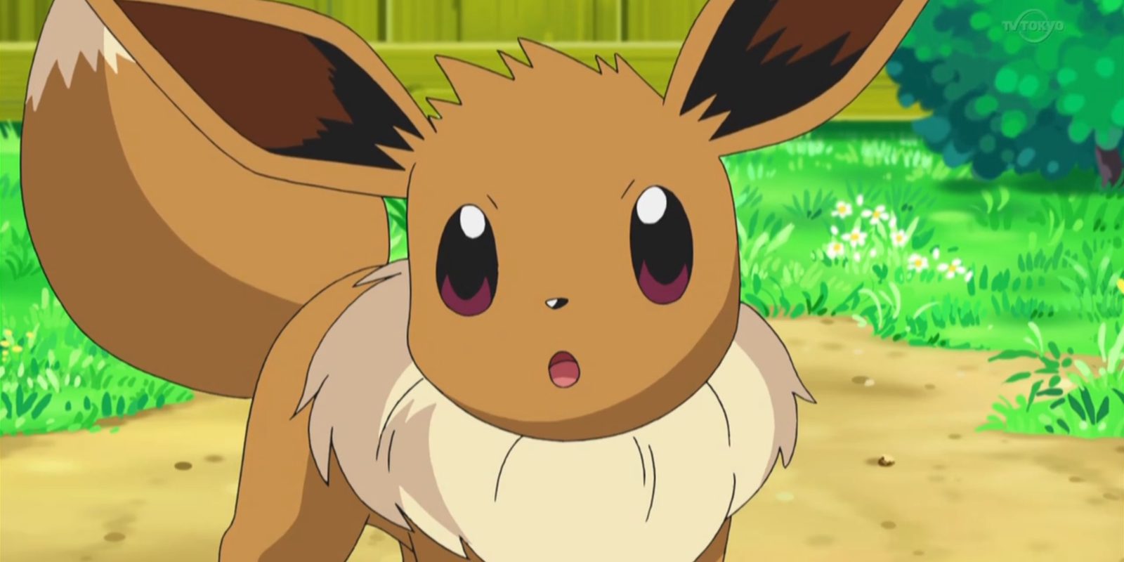 No habrá nueva evolución para Eevee en 'Pokémon Sol' y 'Luna'