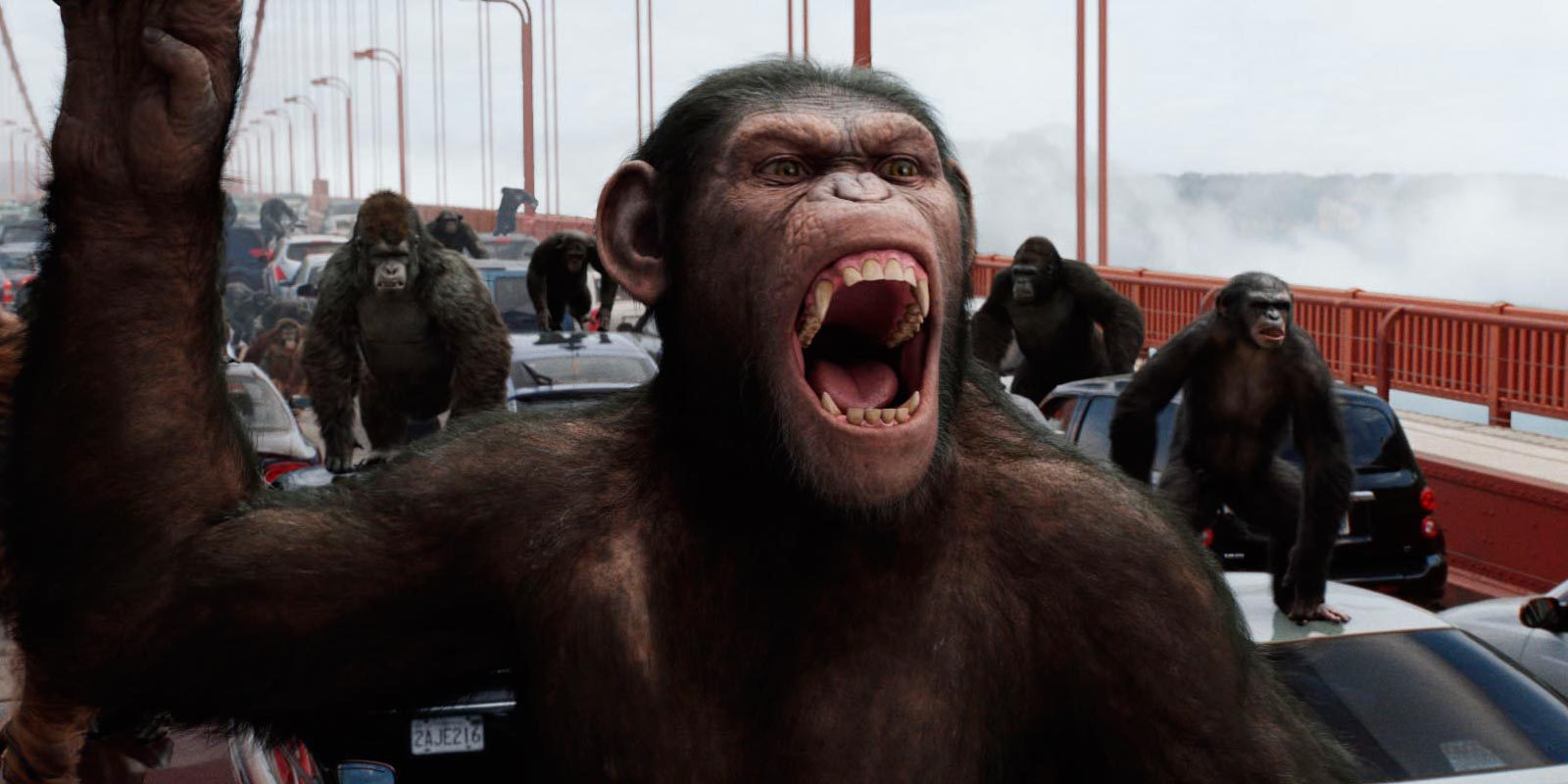 Los creadores de 'El Origen del Planeta de los Simios' no descartan hacer más películas