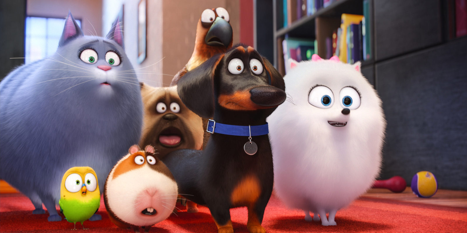 'Mascotas' fue la película más rentable del pasado año