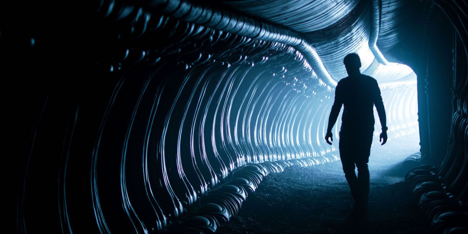 El rodaje de la secuela de 'Alien: Covenant' comenzará dentro de 14 meses