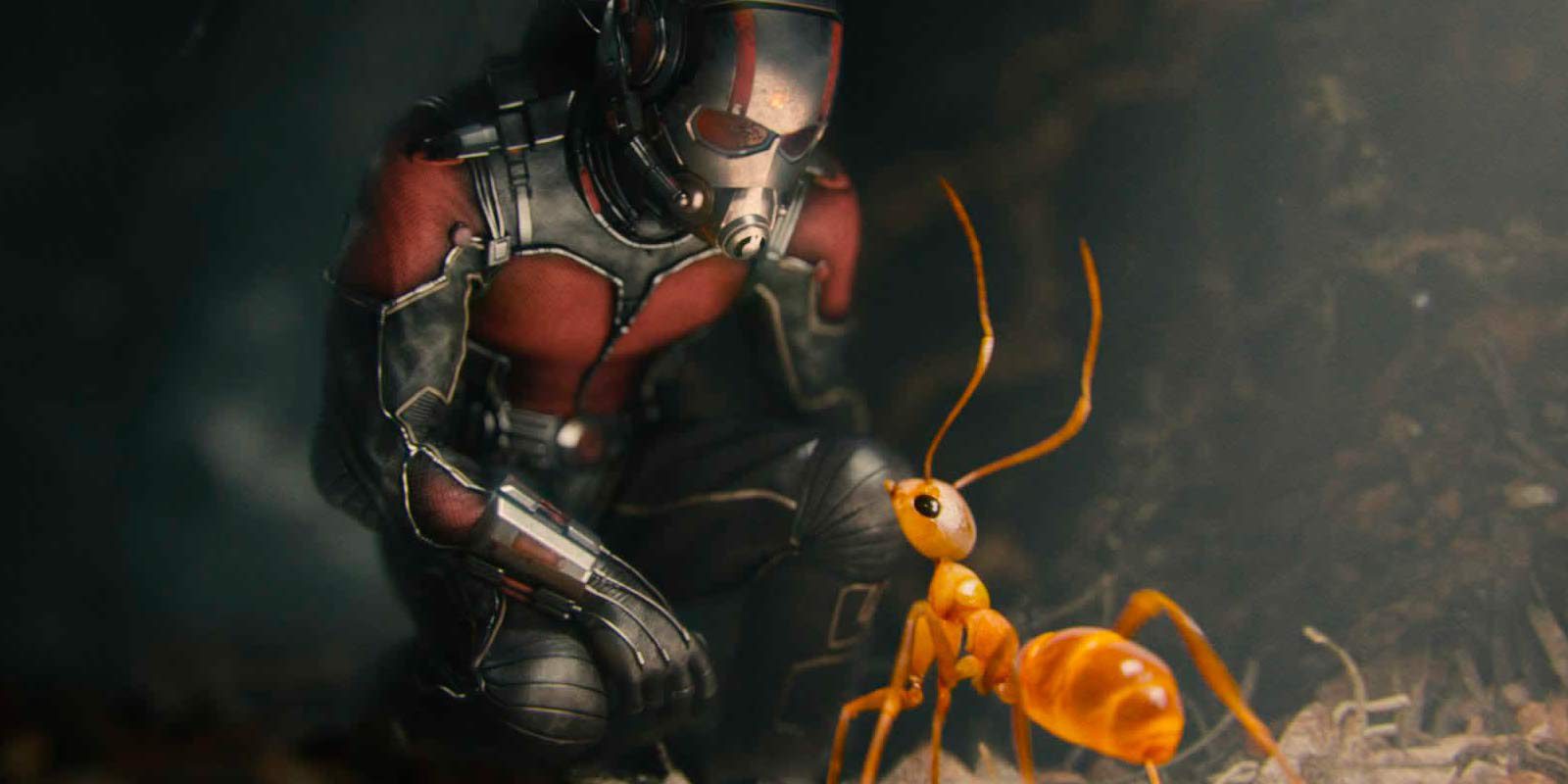 Marvel anuncia que comienza el rodaje de 'Ant-Man y la Avispa'