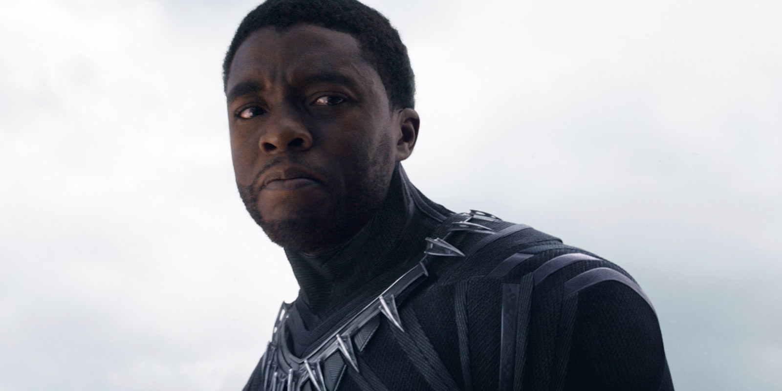 Fans de DC inician una campaña para boicotear 'Black Panther' en Rotten Tomatoes