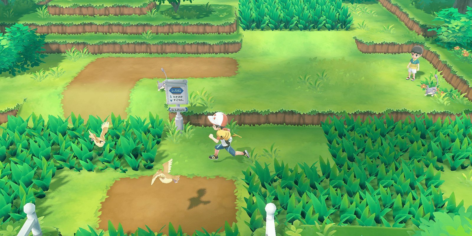 Las formas Alola estarán presentes en 'Pokémon Let's Go Pikachu!' y 'Pokémon Let's Go Eevee!'