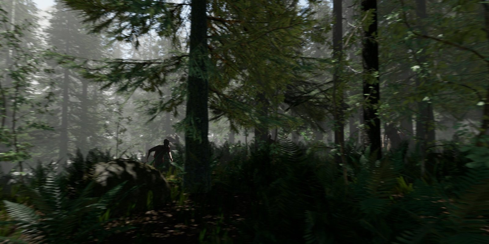 'The Forest' ya tiene fecha de lanzamiento para PS4
