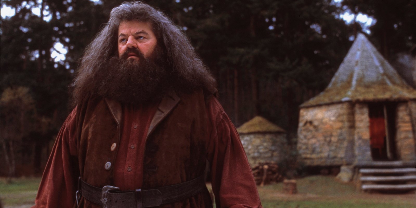 'Harry Potter' y la injusticia de Hagrid: ¿por qué sigue pagando por algo que no hizo?