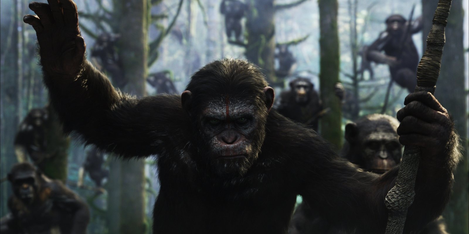 Disney revive 'El planeta de los simios' con Wes Ball ('El corredor del laberinto')